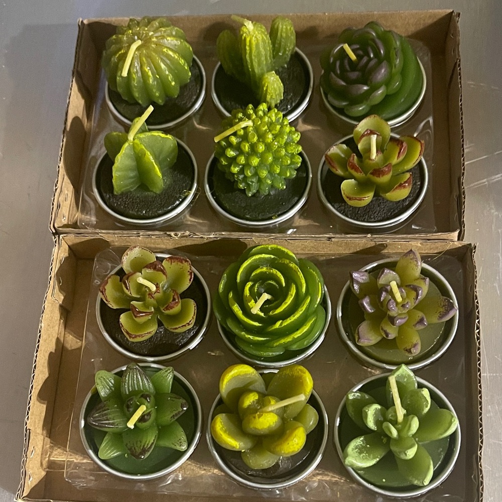 Set of Succulent Shaped Candles